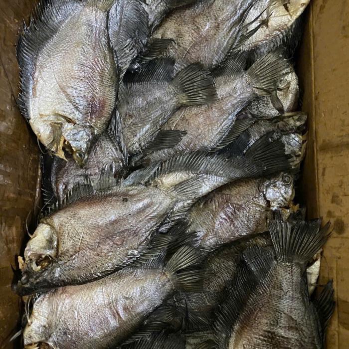 Khô Cá Sặc Bổi
