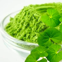 Bột Matcha rau má Quảng Thọ