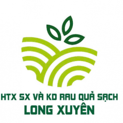 Dưa lưới Long Xuyên