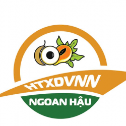 Hoa đu đủ khô Ngoan Hậu