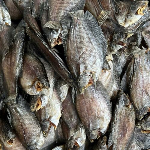 Khô Cá Sặc Bổi
