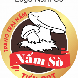 NẤM SÒ TIẾN ĐẠT