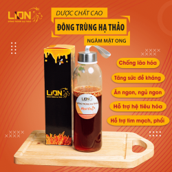 Trà thảo mộc Đông trùng hạ thảo Lion