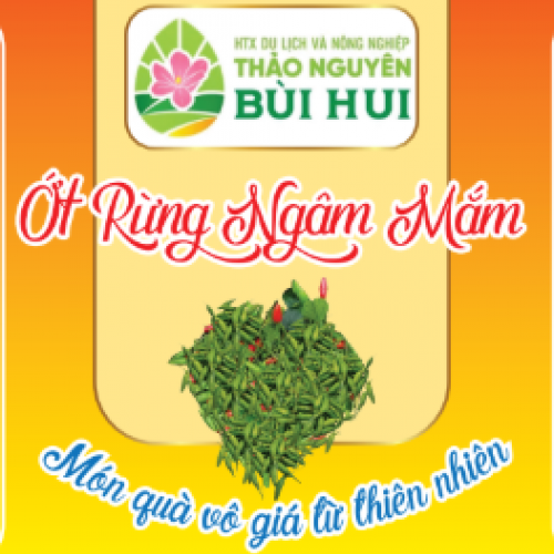 Ớt Xiêm rừng ngăm mắm