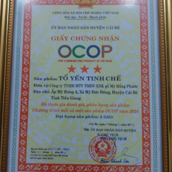 TỔ YẾN TINH CHẾ