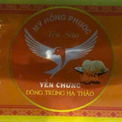 YẾN CHƯNG ĐÔNG TRÙNG HẠ THẢO